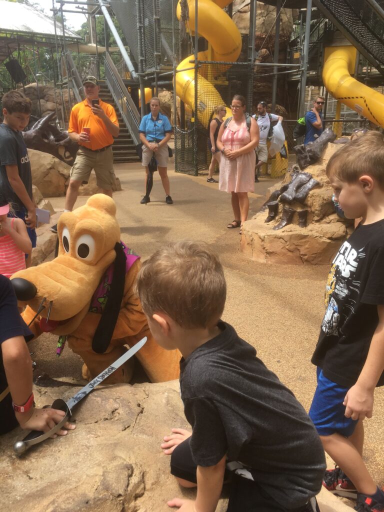 The Boneyard Animal Kingdom